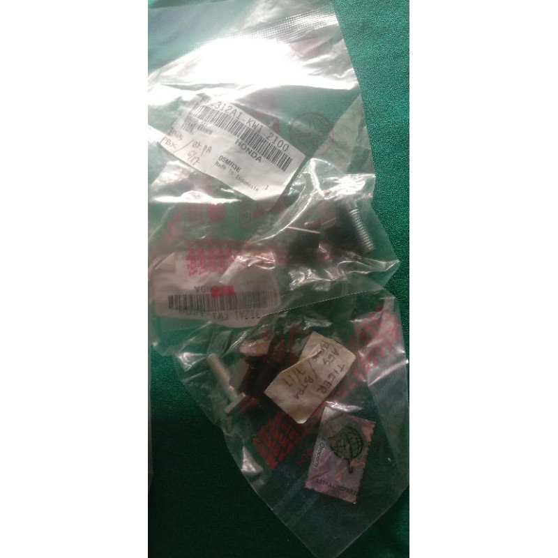 arang dinamo stater Tiger brostel Tiger brostel dinamo stater tiger