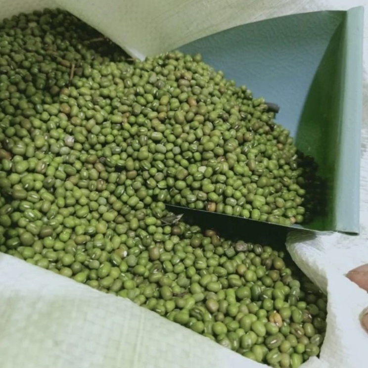 

Bayar Di Tempat kacang ijo Australia - kacang ijo lokal bubur 1 kg kualitas super Diskon