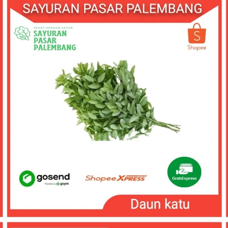 

Sayur Katuk Segar - Sayuran Pasar Palembang