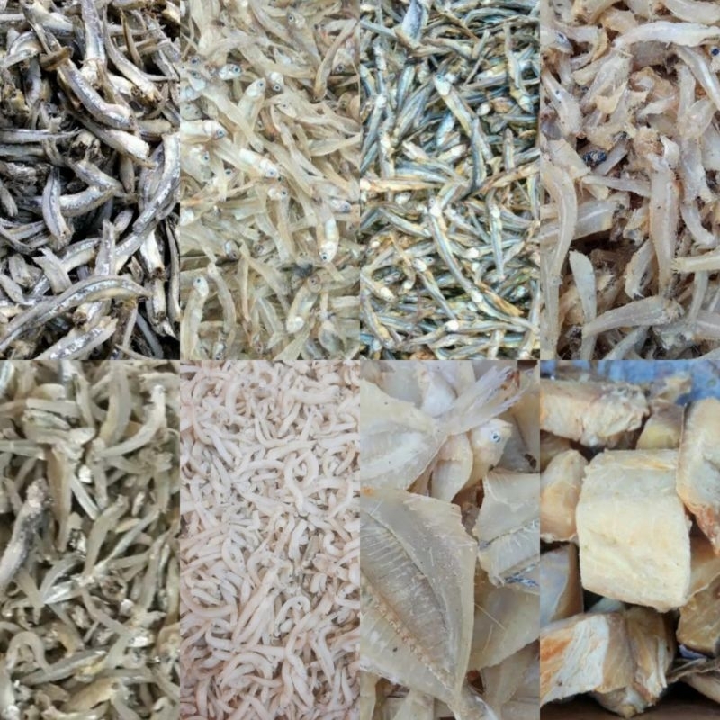 

Teri Medan / Teri Nasi / Teri Toge / Teri Daging / Jengki / Jambal / Cumi 100gr