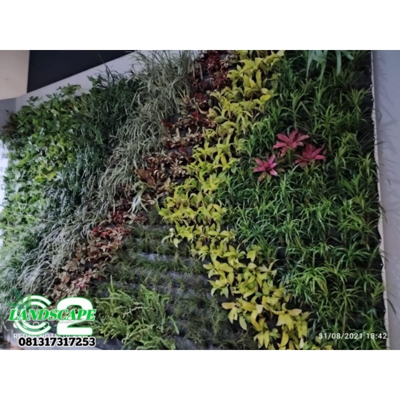 Taman Vertikal Garden Bintaro Vertical Garden Murah Vertikal Garden Tanaman Hias Murah Taman Murah