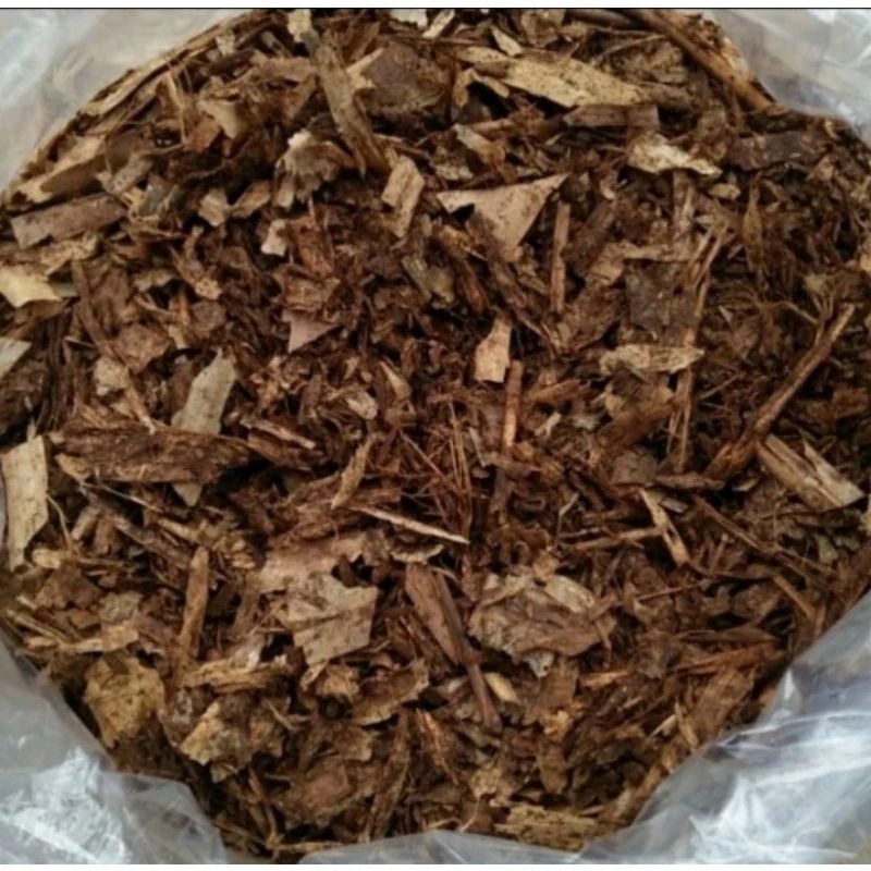 media tanam tanah subur humus daun bambu