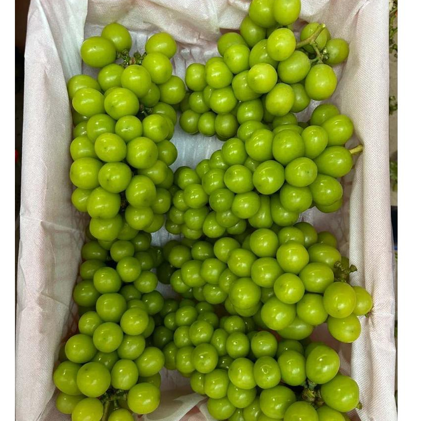 

ANGGUR MUSCAT FRESH PACK PROMOOOO