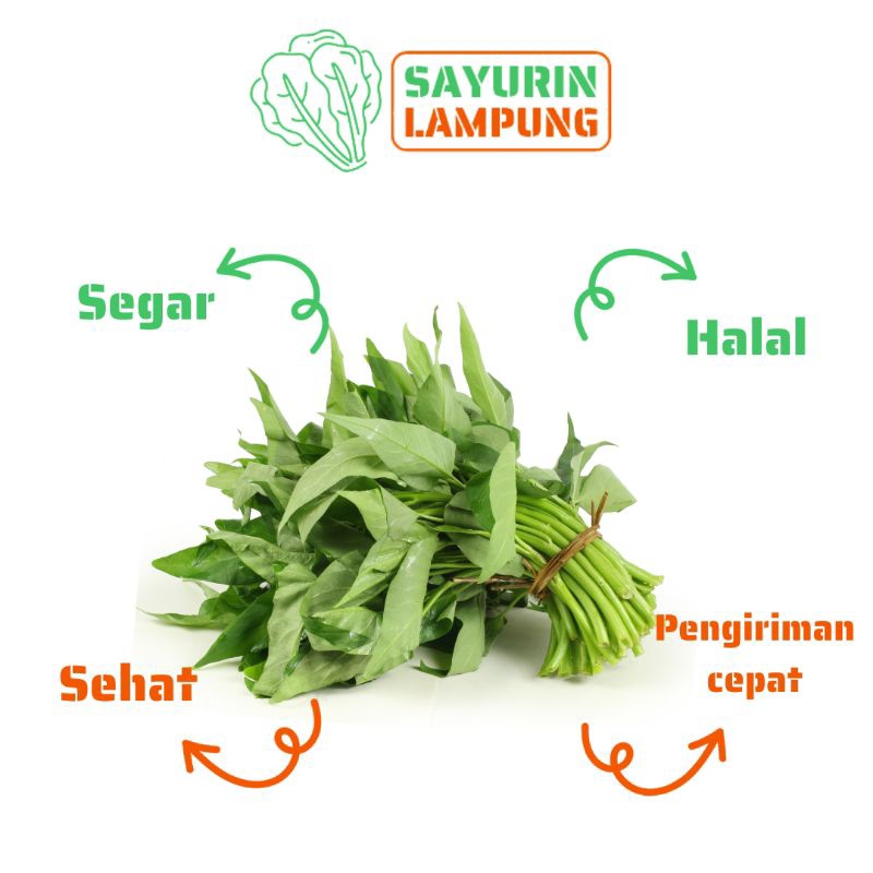 

kangkung hijau sayur kangkung segar per ikat - SAYURin LAMPUNG