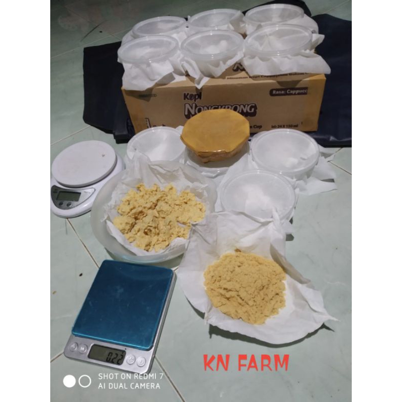 

telur magot 10.gram