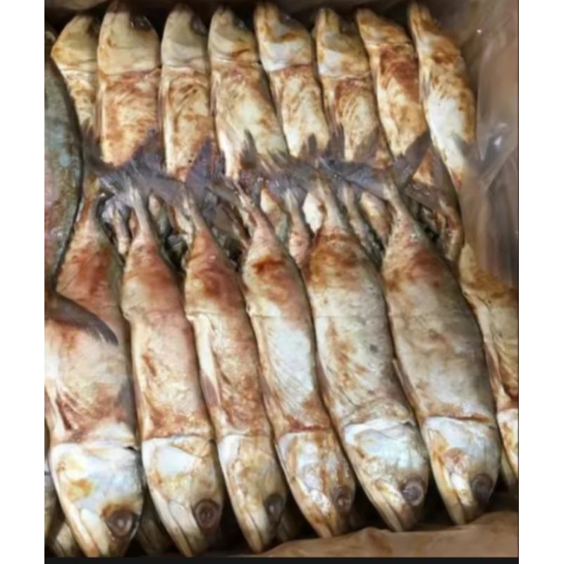 

ikan peda merah ukuran sedang 250 gr