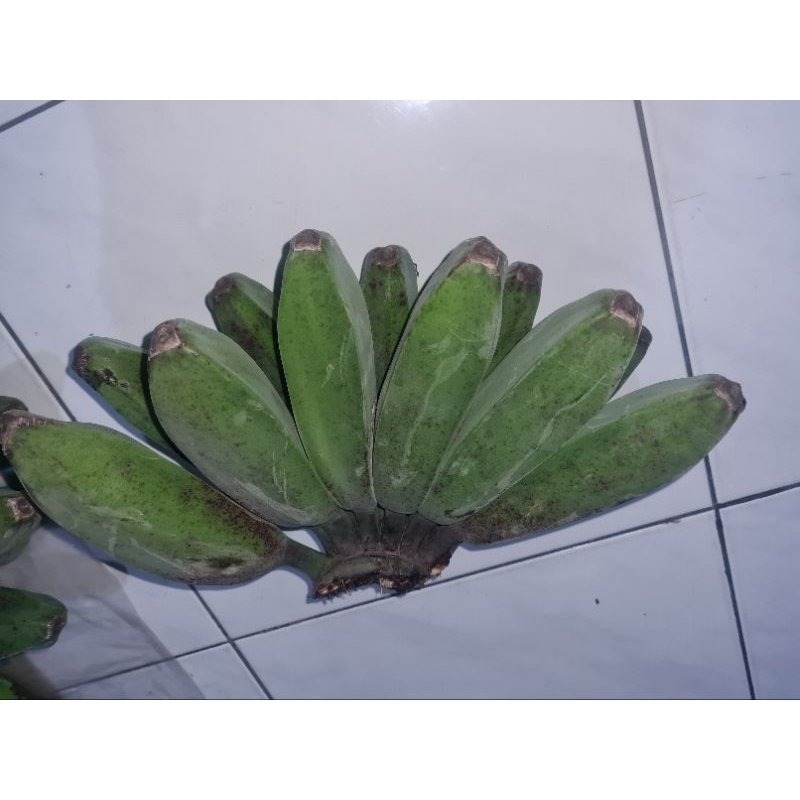 

Pisang Kepok Kalimantan per 1kg