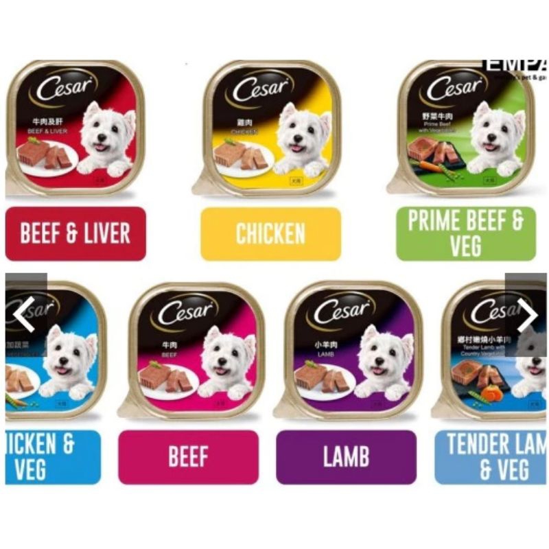 Cesar Wet Food Dog 100g - Makanan Anjing Premium Basah Multivariant