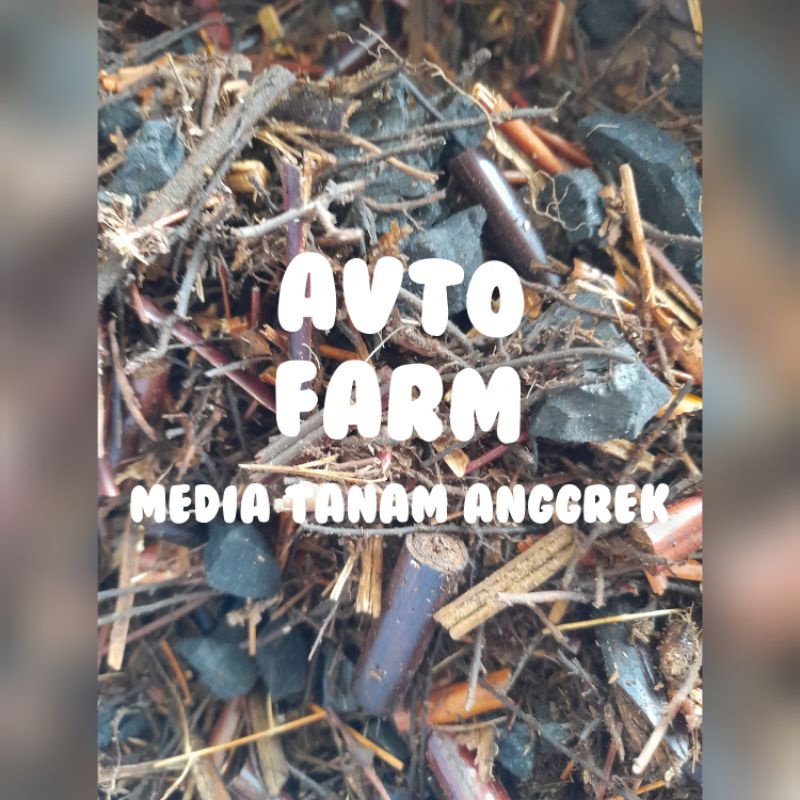 media tanam anggrek siap pakai komposisi super
