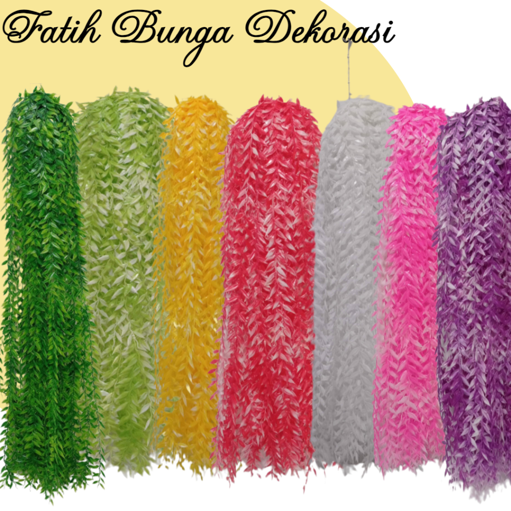 Lee Kwan Yew/Tanaman Hias Lee Kwan Yew/Lee Kwan Yew tangkai/Lee Kwan Yu