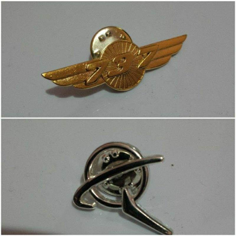 Pin Boeing Wing 737