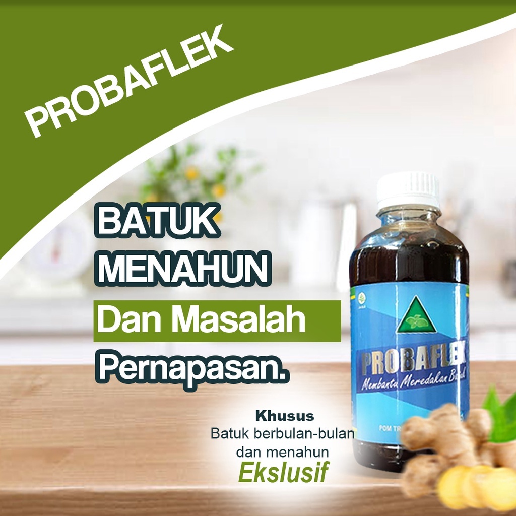 

Madu Probaflek Madu Batuk Menahun, Flek dan TBC - Probaflek 380 gram Original