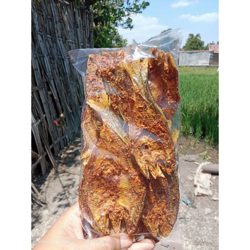 

Dendeng Ikan Bulu Ayam/ Bilis Rasa Sedep Manis Kemasan 100gram