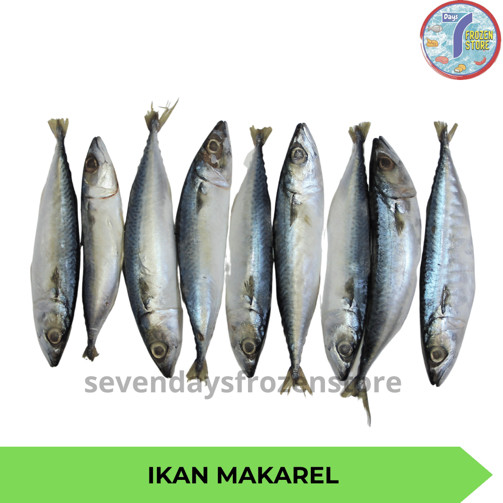 

Ikan Salem Sarden | Makarel Frozen Beku