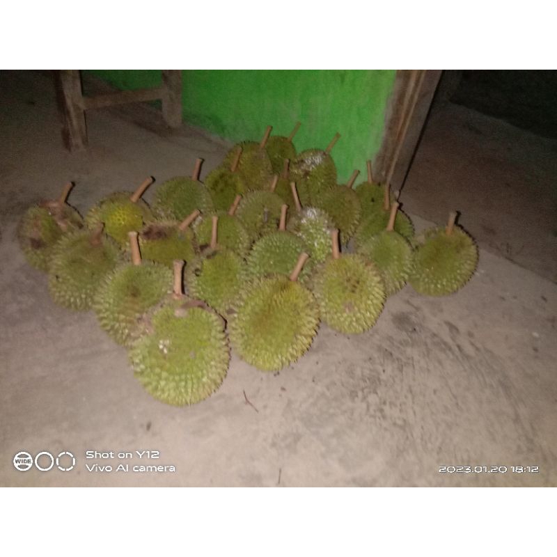 

yukkk yang suka buah durian mampir dulu sini ❤️❤️❤️