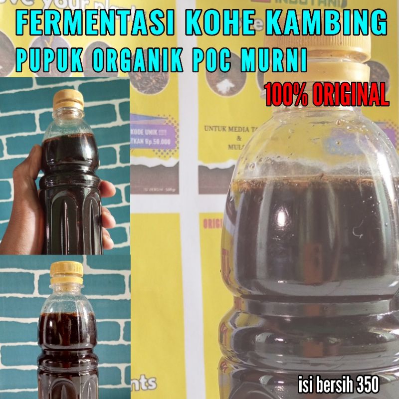 PUPUK KOHE KAMBING FERMENTASI - KOHE KAMBING CAIR - PUPUK POC
