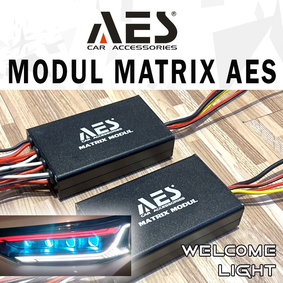 Modul Matrix Biled matrix 12chanel Merk AES