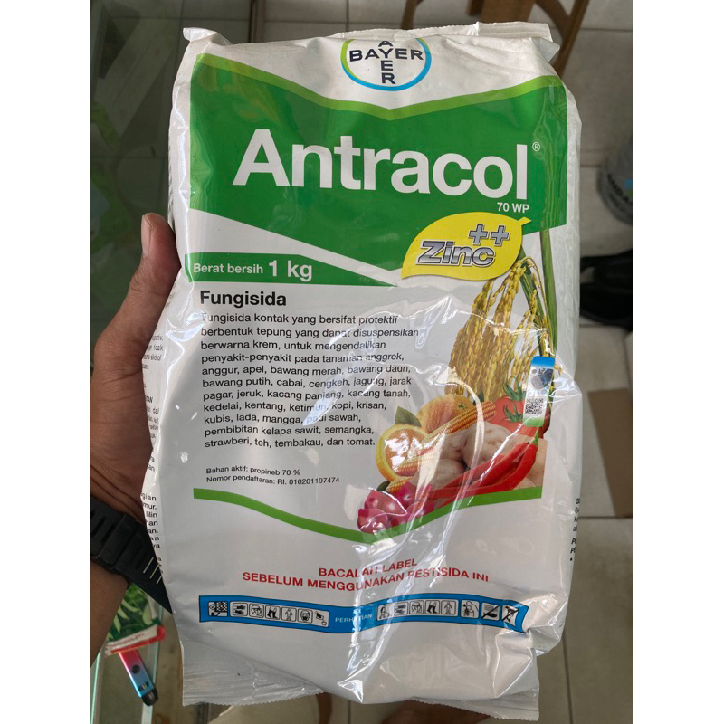 Antracol 1kg/FUNGISIDA