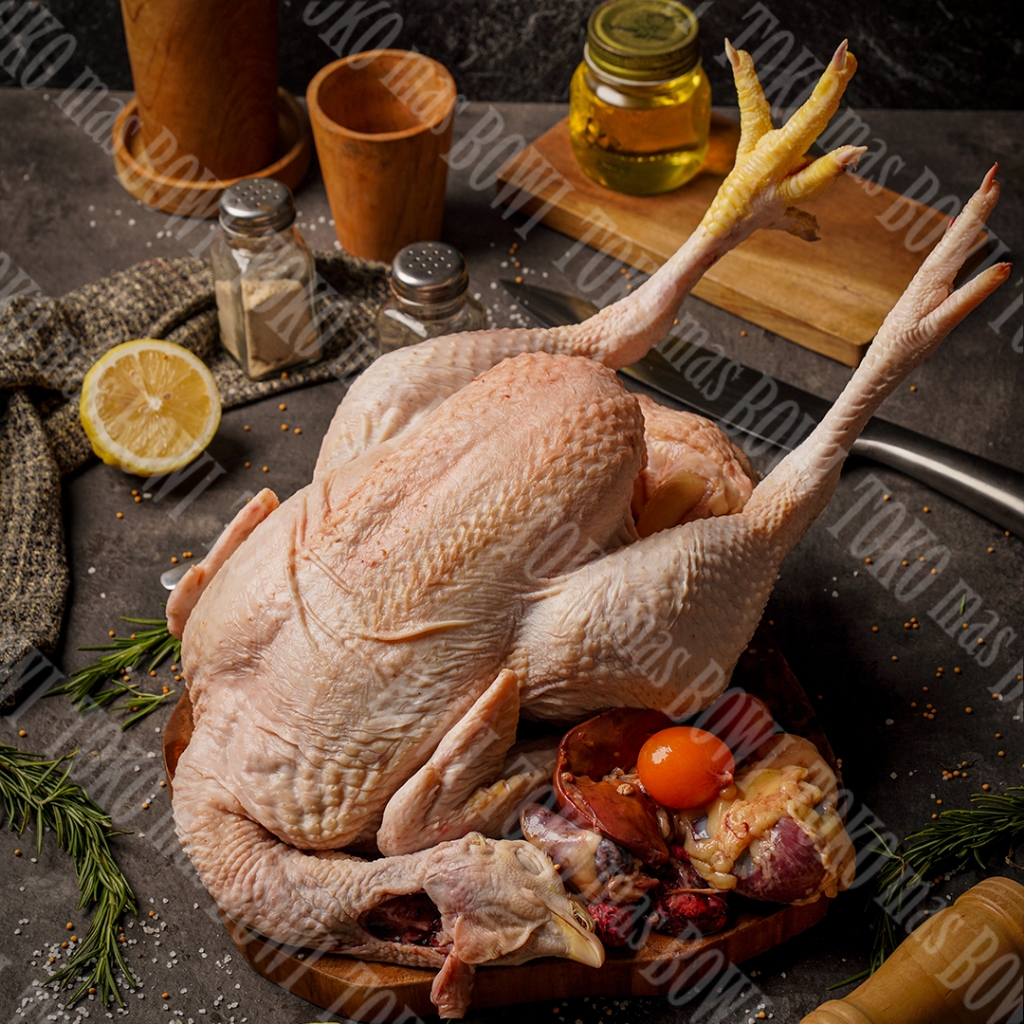 

Daging Ayam Parent / Ayam Parent Utuh & Ayam Karkas Peren - Parent Utuh