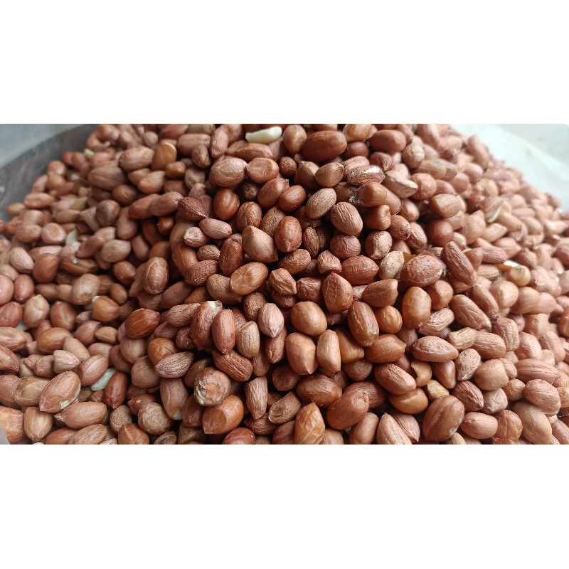 

kacang tanah kulit 1kg