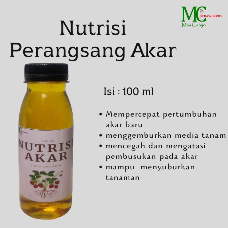 Nutrisi Perangsang Akar Tanaman