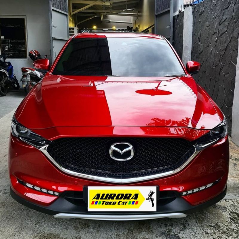 PAKET Epoxy + Dasaran Silver + Cat Soul Red CX5 + Clear + Tiner