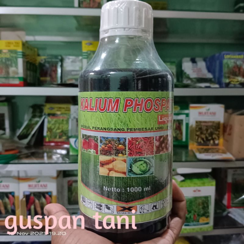 kalium phospat untuk memper besar umbi dan buah kemasan 1000ml.