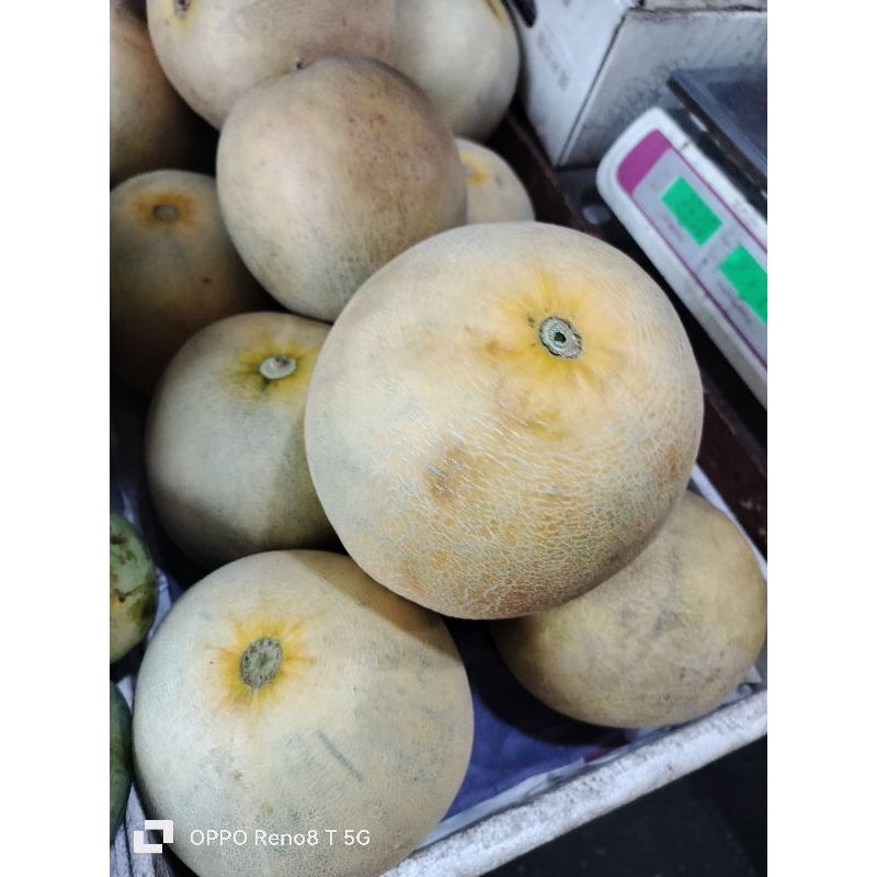 

Melon madu manis 1buah