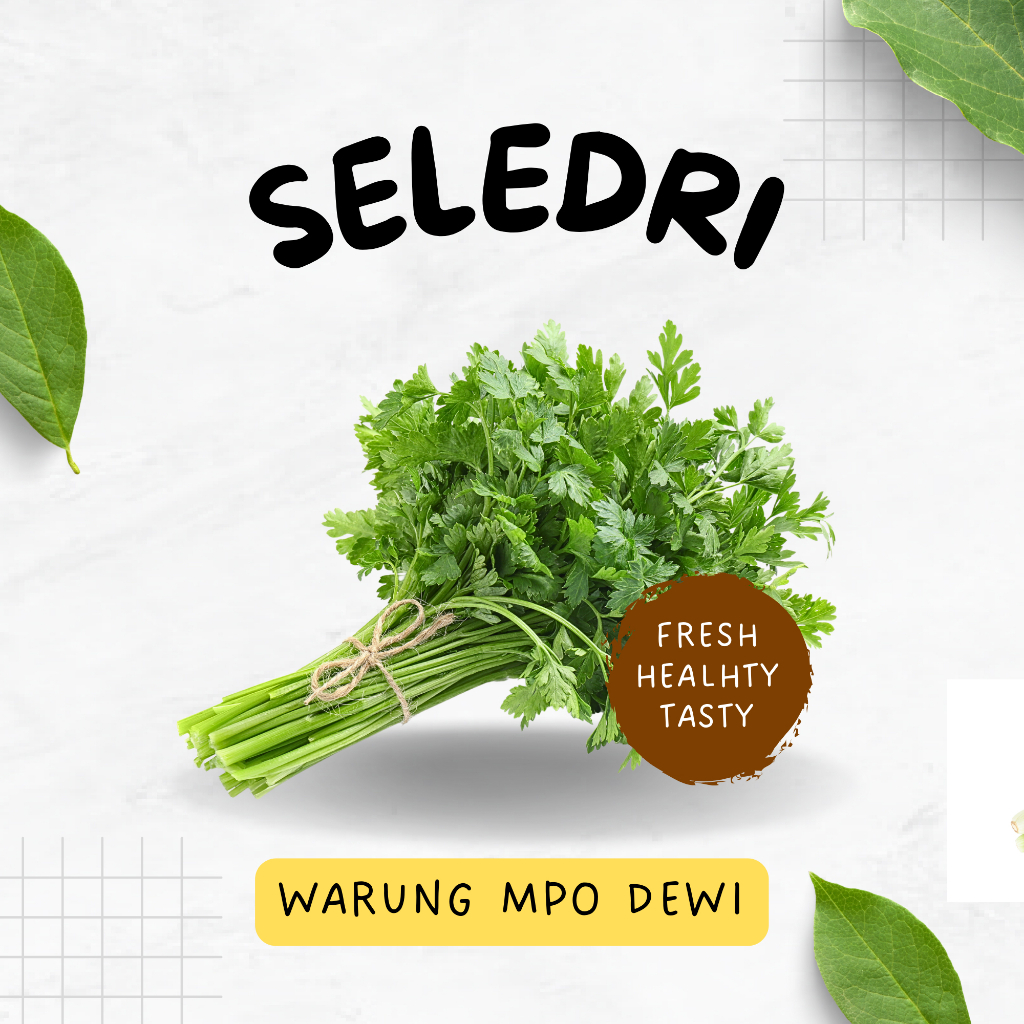 

Daun Seledri / Daun Sop