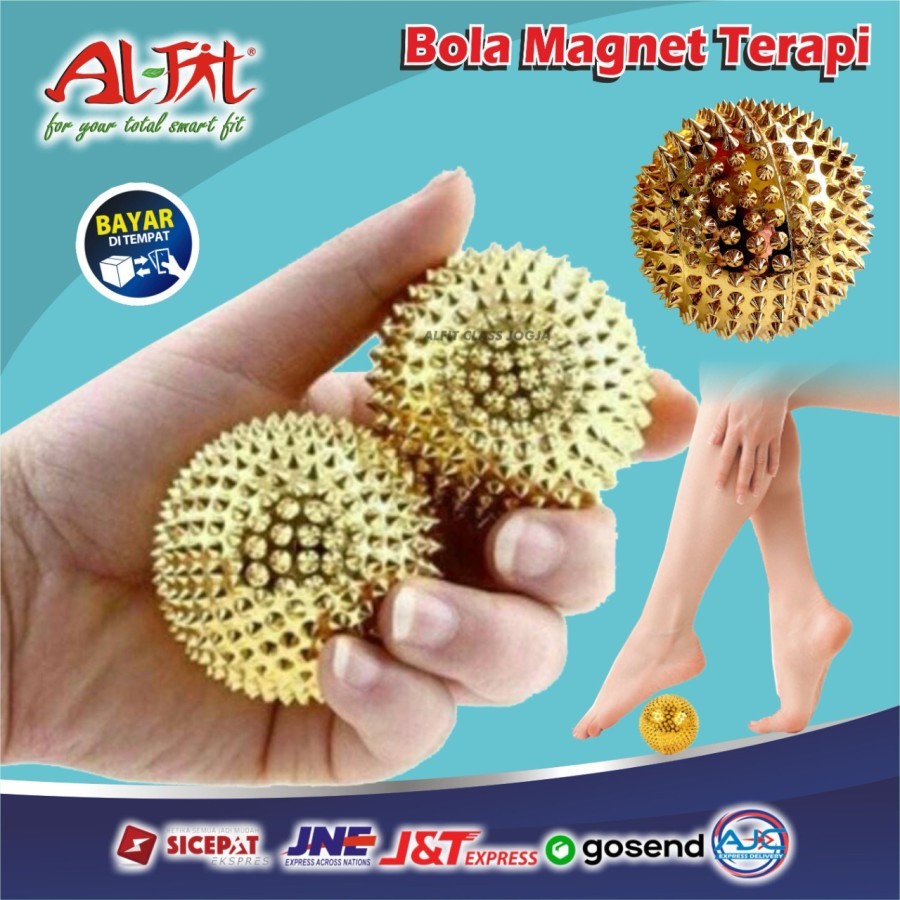 Bola Terapi Tangan Stroke Berduri Remas Alat Terapi Jari Stroke