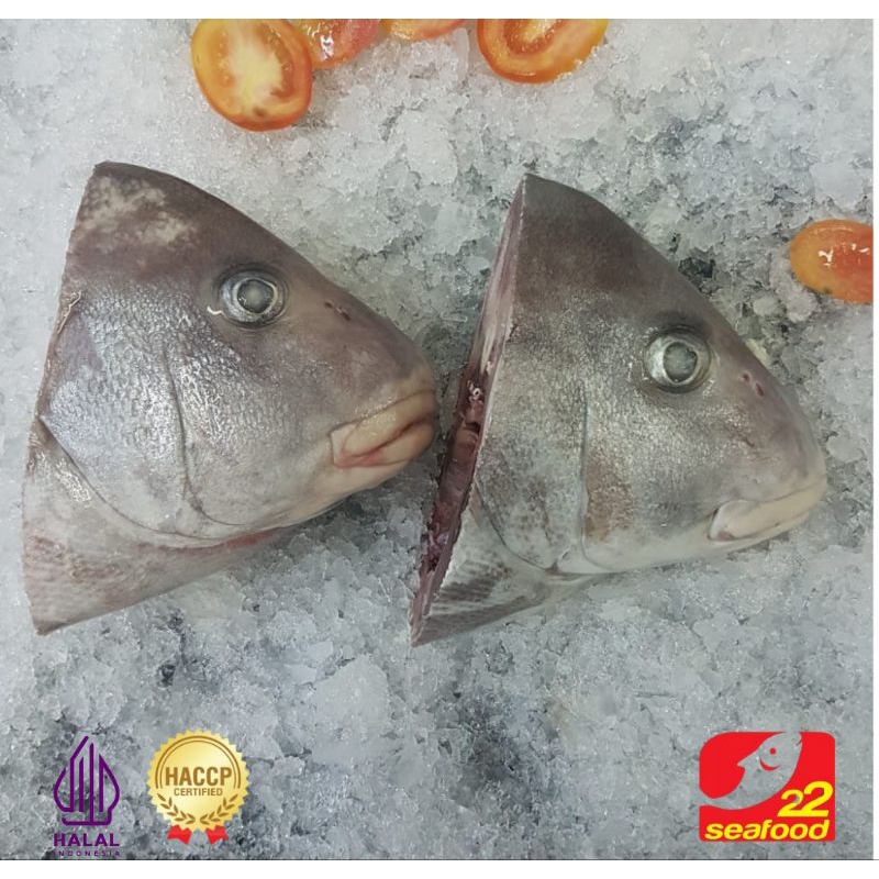 

Kepala Kaci kaci 1 kg / Kepala Ikan / Seafood 22