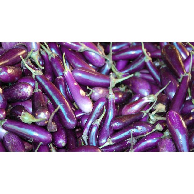 

Terong Ungu 500 gr Fresh