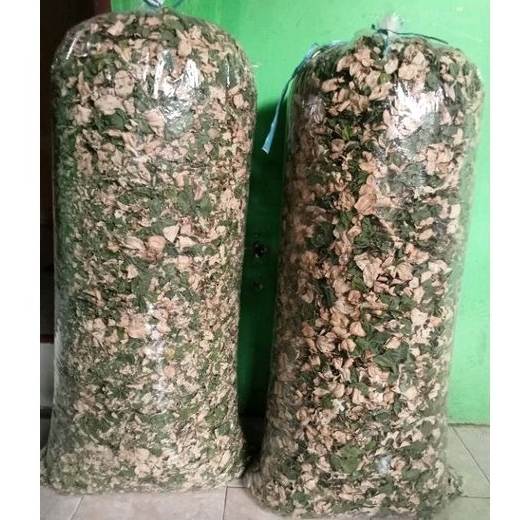

daun Bidara murni 1kg