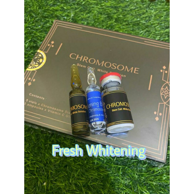STEMCELL CHROMOSOME WHITENING 10 ML/FREE BOOSTER/ECERAN/PAKET 1 X Infus