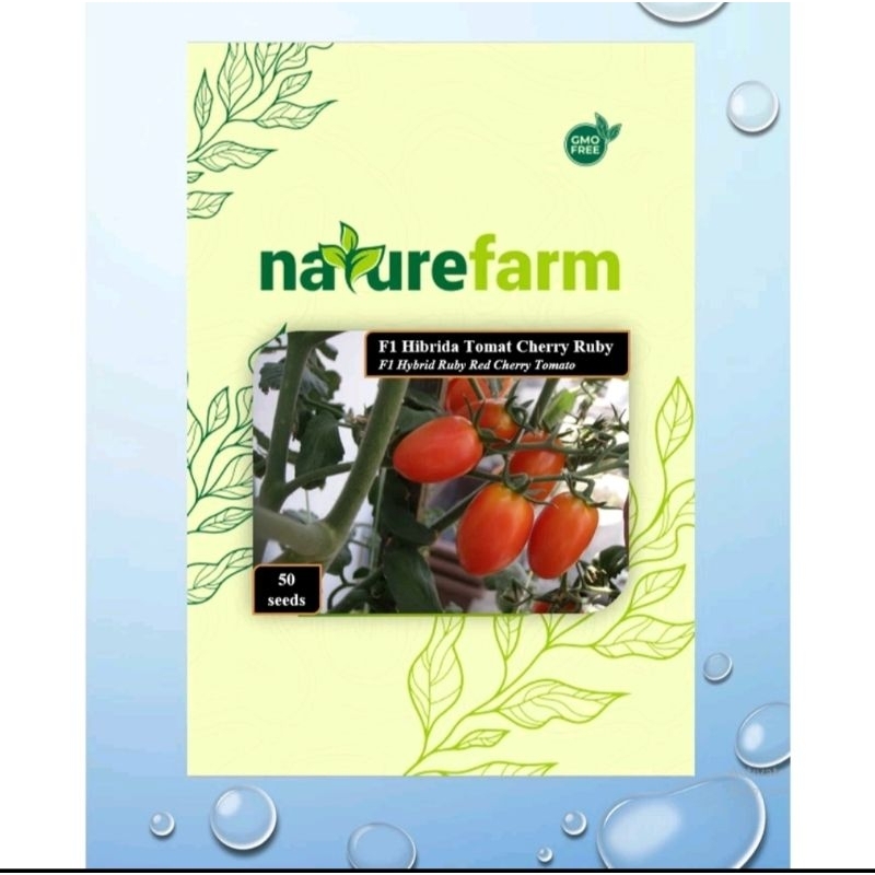 benih bibit tomat F1 Hybrida Tomat Cherry Ruby F1 Hybrid Ruby Red Cherry Tomato isi 50 butir