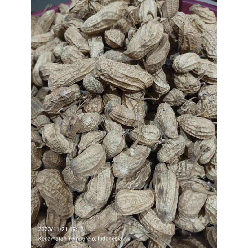 

1kg Kacang Tanah Kulit Hibrida Super