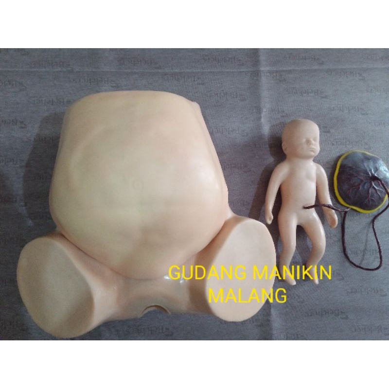 MANIKIN PANGGUL MELAHIRKAN|PHANTOM PERSALINAN|ALAT PERAGA PHANTOM MANEKIN TORSO PANGGUL MELAHIRKAN|I