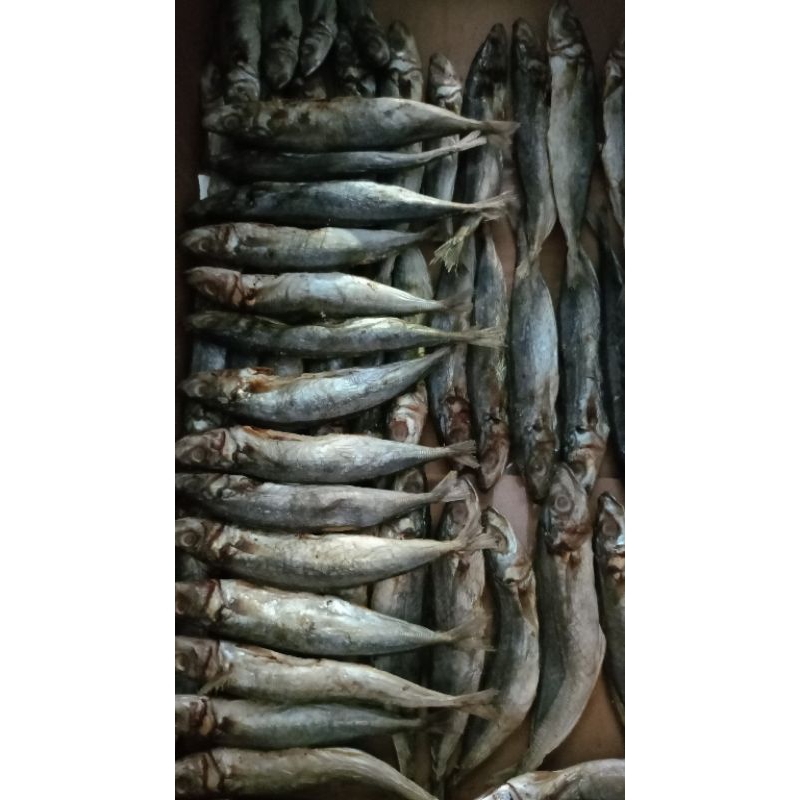 

Ikan Asin Benggol / Klotok Asin berat 100 gram