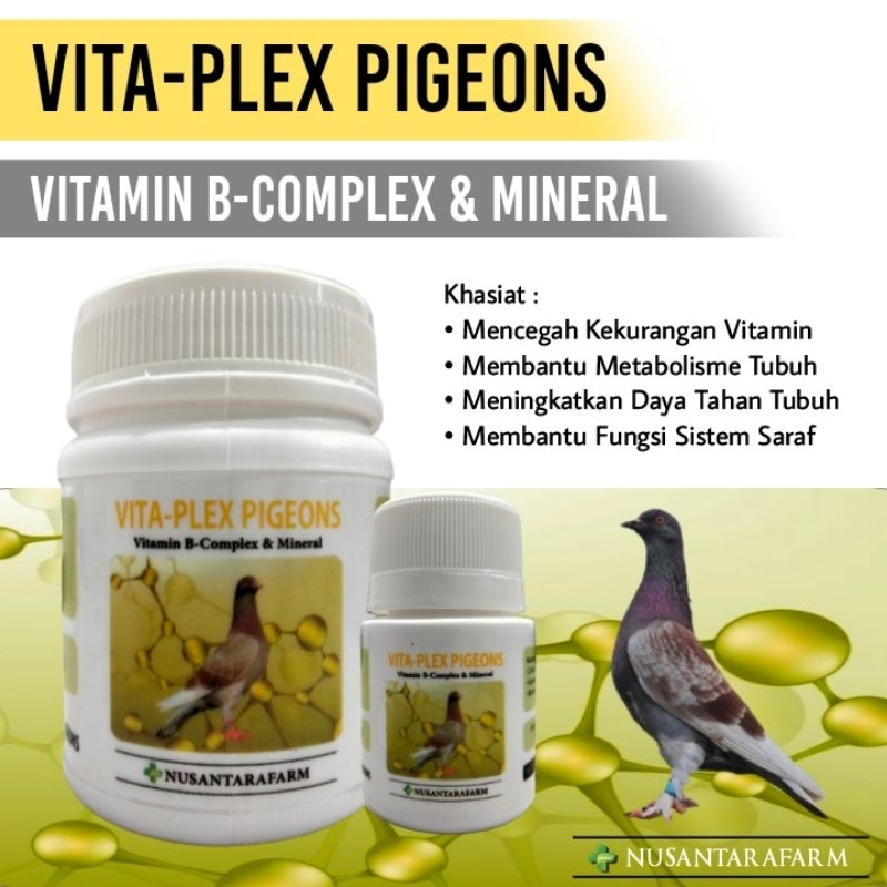 Vita plex pigeons vitamin b-complex khusus merpati suplemen merpati