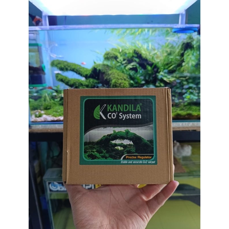 Regulator Co2 kandila KCR02