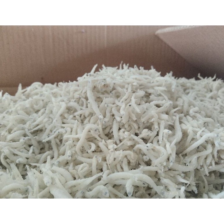 

☄️New event✨ Teri nasi 1kg/ikan asin teri medan/teri nasi ukuran sedang