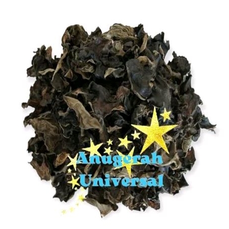 

Jamur Kuping HiTam (REPACK)