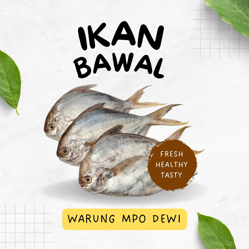 

Ikan Bawal Air Tawar Segar