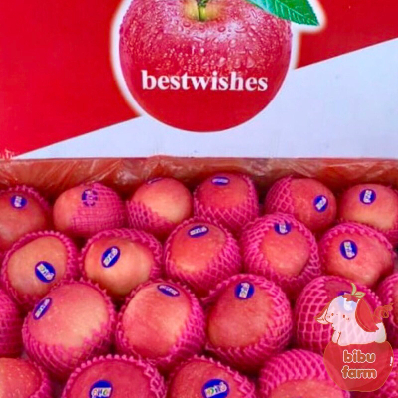 

Apel Fuji China Best Wishes Size 88 Berat/Kilogram