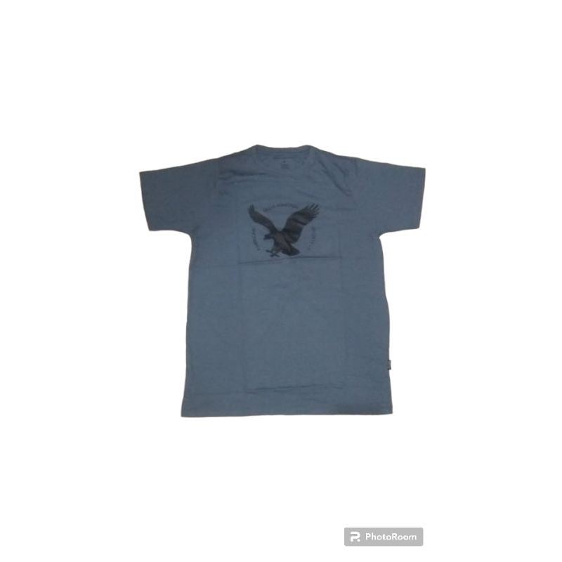 kaos american eagle