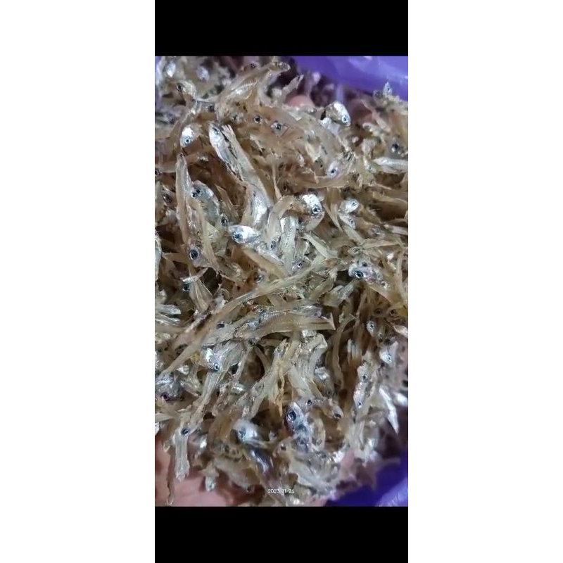 

Ikan Teri Medan 13kg