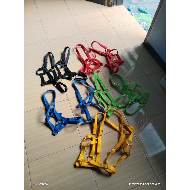 helter/bacokan kandang