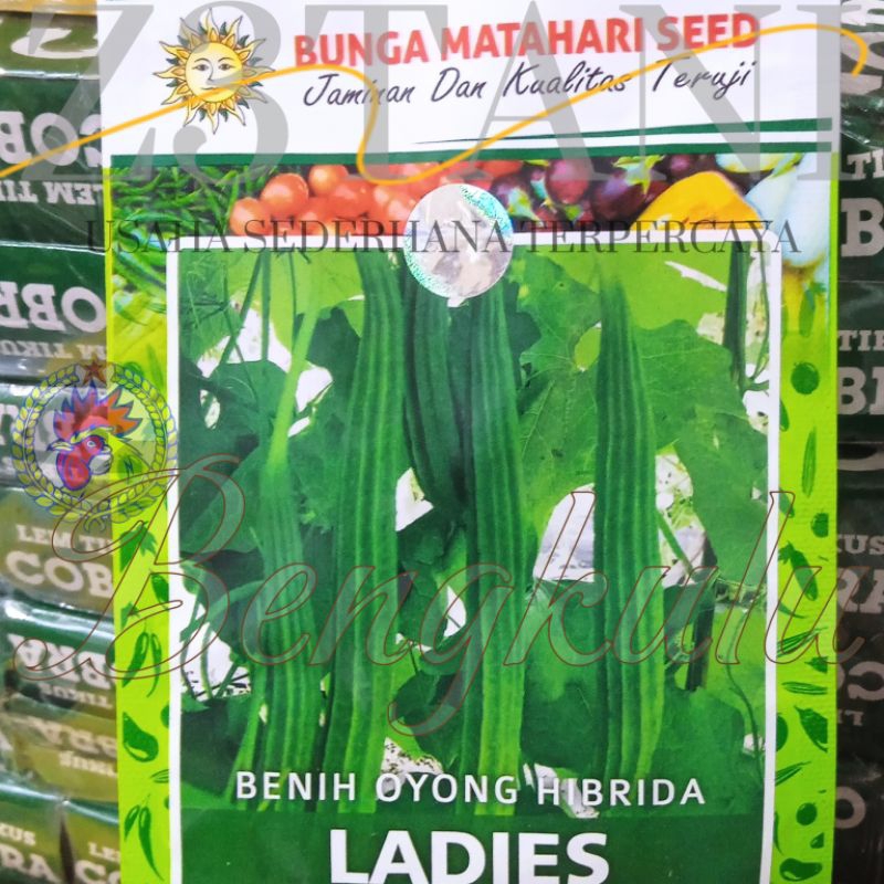 Benih Oyong LADIES 20 Butir Bibit Hibrida Cap Matahari