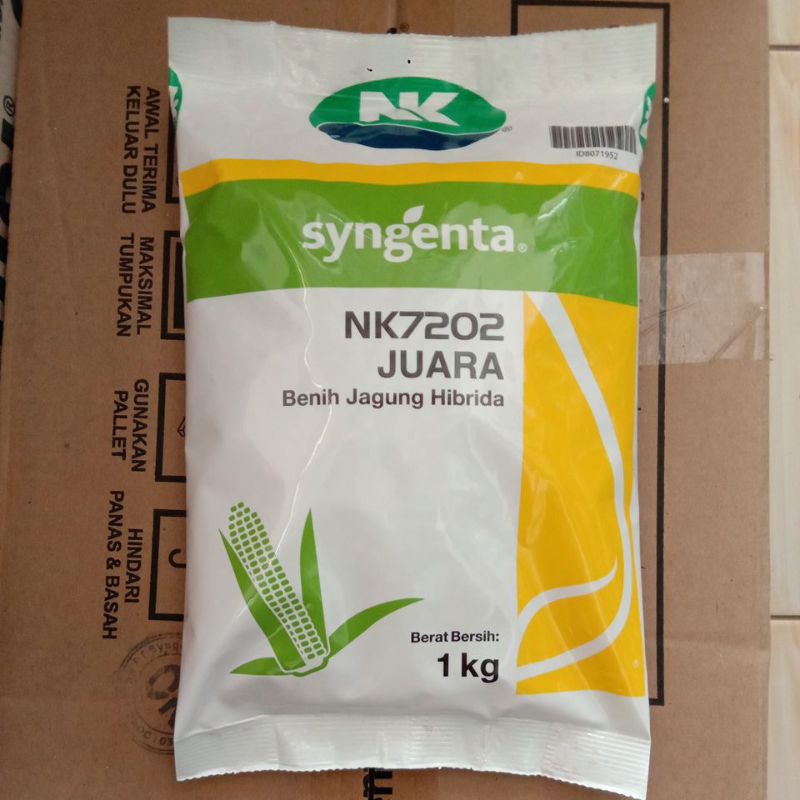 Benih Jagung Hibrida NK7202 JUARA