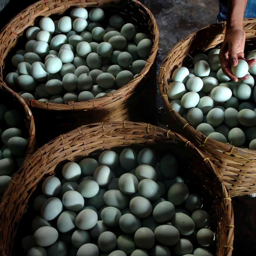 

Telur Asin omega super grade-A